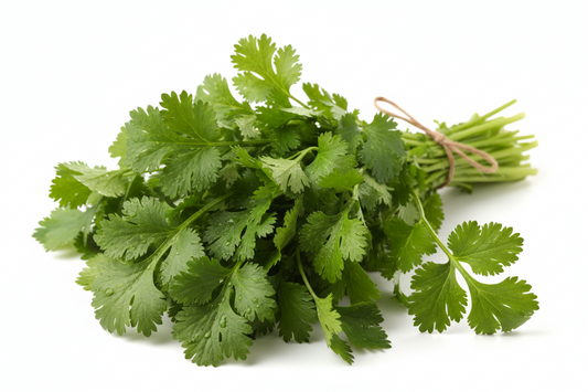 CILANTRO CASE